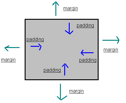 Differenza tra padding e margin